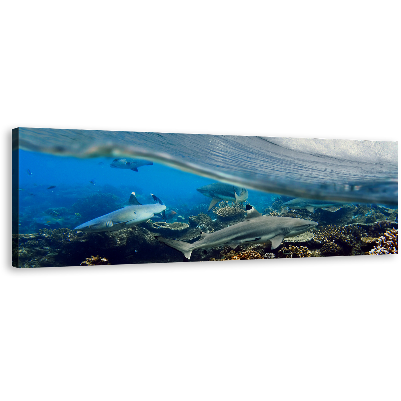 Shark Ocean Wall Art, Underwater Grey Sharks Fish Wide Canvas Art, Blue Ocean Waves Panoramic Canvas Print