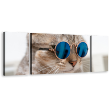 Load image into Gallery viewer, Smart Cat Canvas Wall Art, Brown Cat Close Up 3 Piece Canvas Print, Cat Wearing Blue Sunglasses Multi Canvas
