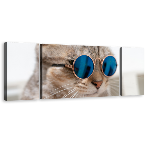 Smart Cat Canvas Wall Art, Brown Cat Close Up 3 Piece Canvas Print, Cat Wearing Blue Sunglasses Multi Canvas