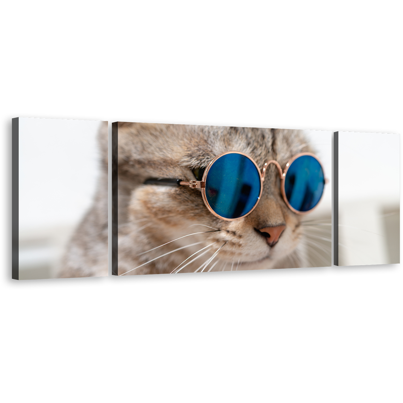 Smart Cat Canvas Wall Art, Brown Cat Close Up 3 Piece Canvas Print, Cat Wearing Blue Sunglasses Multi Canvas