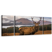 Load image into Gallery viewer, Stag Portrait Canvas Wall Art, Brown Wild Stag 3 Piece Canvas Print, Orange Eka Scenery Animal Nature Canvas Set
