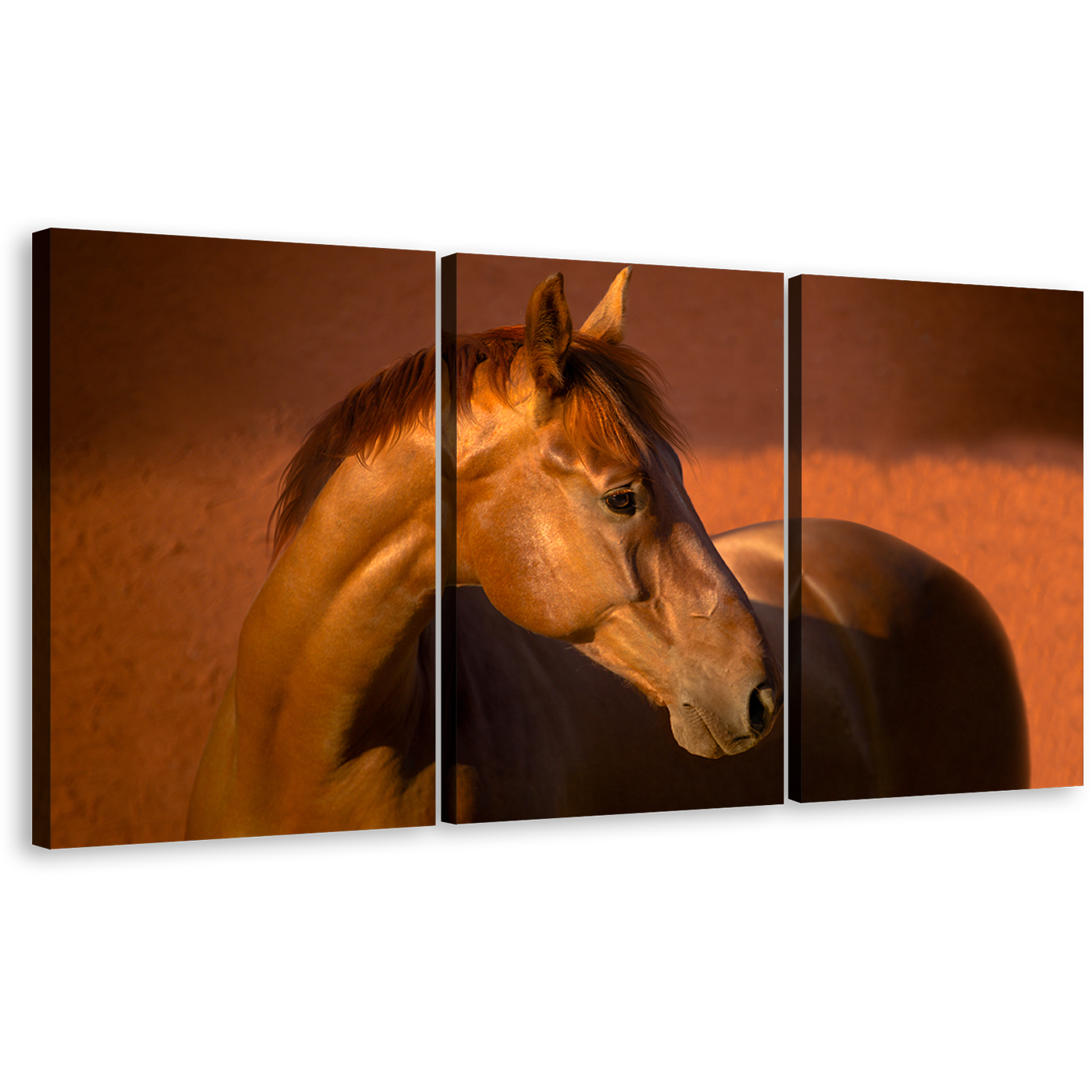 Stallion Horse Canvas Wall Art, Elegant Brown Horse Canvas Print, Horse in Orange Field 3 Piece Multiple Canvas