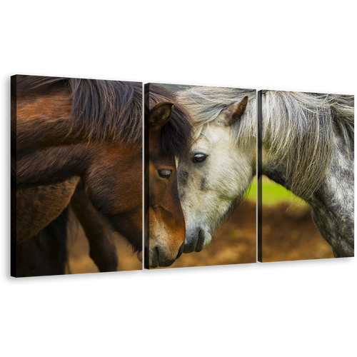 Stallion Horses Canvas Print, Horses Kissing 3 Piece Canvas Wall Art, Brown White Horses Multi Canvas