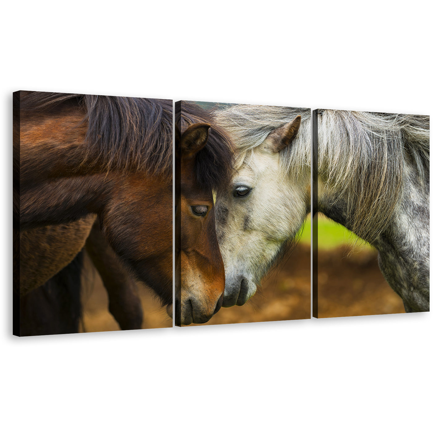 Stallion Horses Canvas Print, Horses Kissing 3 Piece Canvas Wall Art, Brown White Horses Multi Canvas