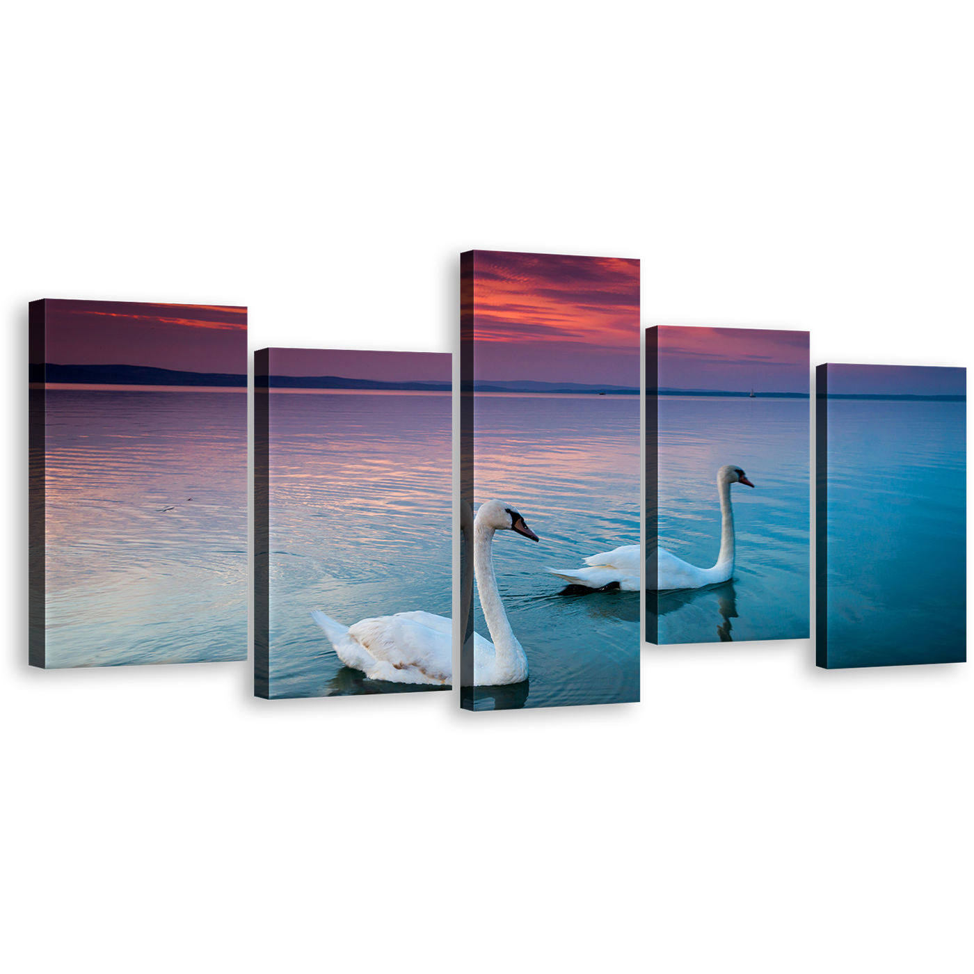 Swans Swimming Canvas Print, Blue Balaton Lake Multiple Canvas, Beautiful White Birds Couple 5 Piece Wall Art