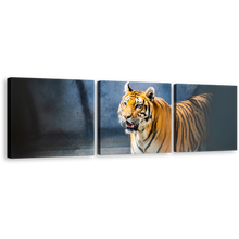 Load image into Gallery viewer, Tiger Animal Canvas Print, Wild Cat Wildlife Multi Canvas, Yellow White Tiger Roar 3 Piece Canvas Wall Art, Tiger Looking Multiple Canvas
