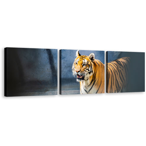 Tiger Animal Canvas Print, Wild Cat Wildlife Multi Canvas, Yellow White Tiger Roar 3 Piece Canvas Wall Art, Tiger Looking Multiple Canvas