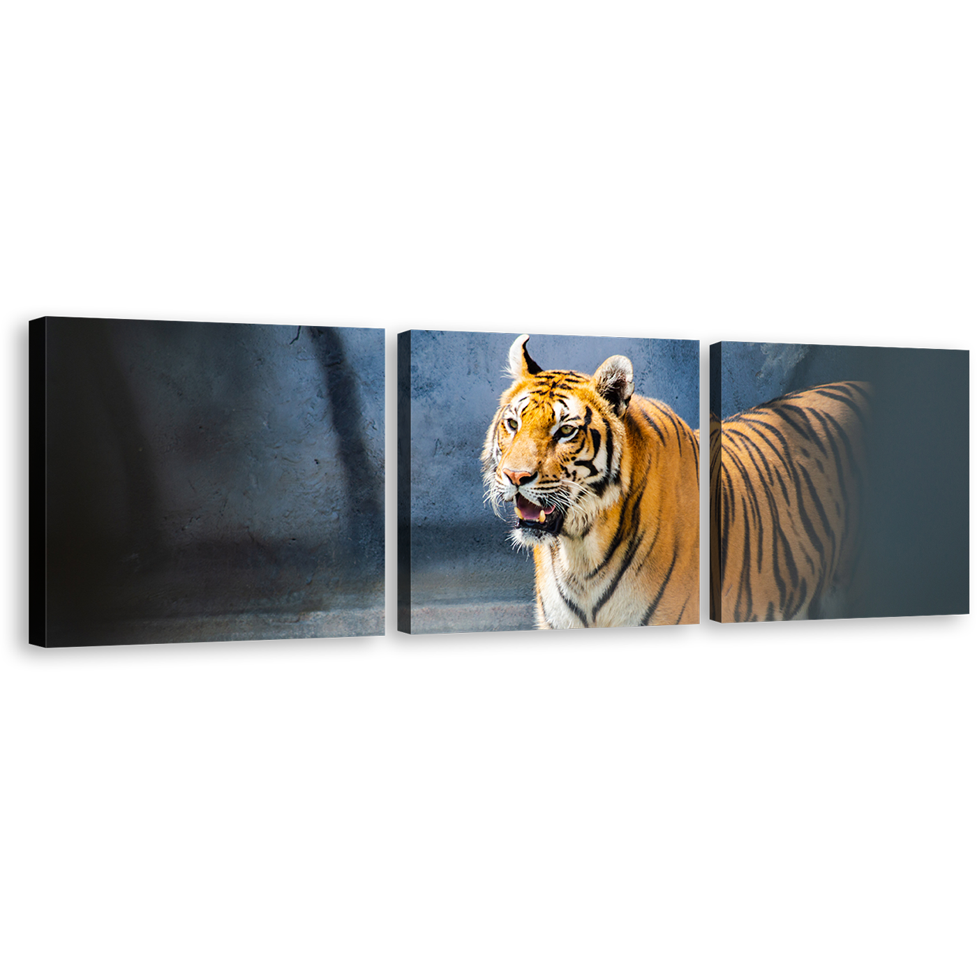 Tiger Animal Canvas Print, Wild Cat Wildlife Multi Canvas, Yellow White Tiger Roar 3 Piece Canvas Wall Art, Tiger Looking Multiple Canvas