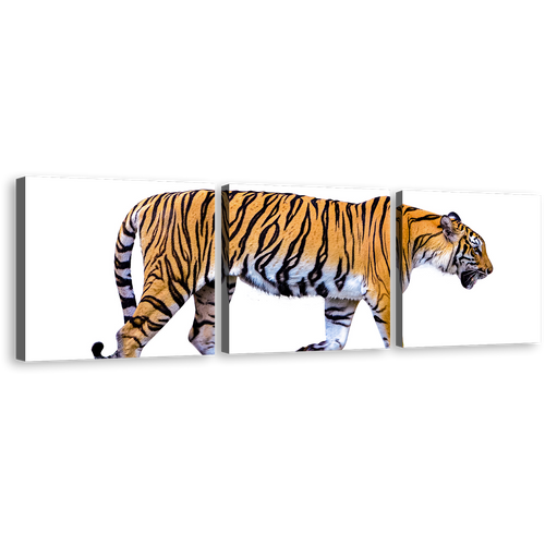 Tiger Isolate Canvas Wall Art, Yellow White Tiger Profile Side 3 Piece Canvas Print, Tiger Portrait Triptych Multi Canvas Artwork