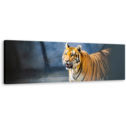 Tiger Looking Canvas Wall Art, Yellow White Tiger Portrait 1 Piece Canvas Print, Tiger Wildlife Canvas Artwork