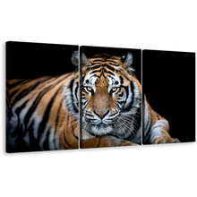 Load image into Gallery viewer, Tiger Sitting Canvas Wall Art, Tiger Front 3 Piece Canvas Print, Orange White Tiger Looking Canvas Set
