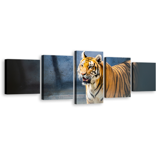 Tiger Staring Canvas Wall Art, Tiger Looking 5 Piece Canvas Print, White Yellow Big Tiger Wildlife Multiple Canvas, Wild Cat Canvas Set