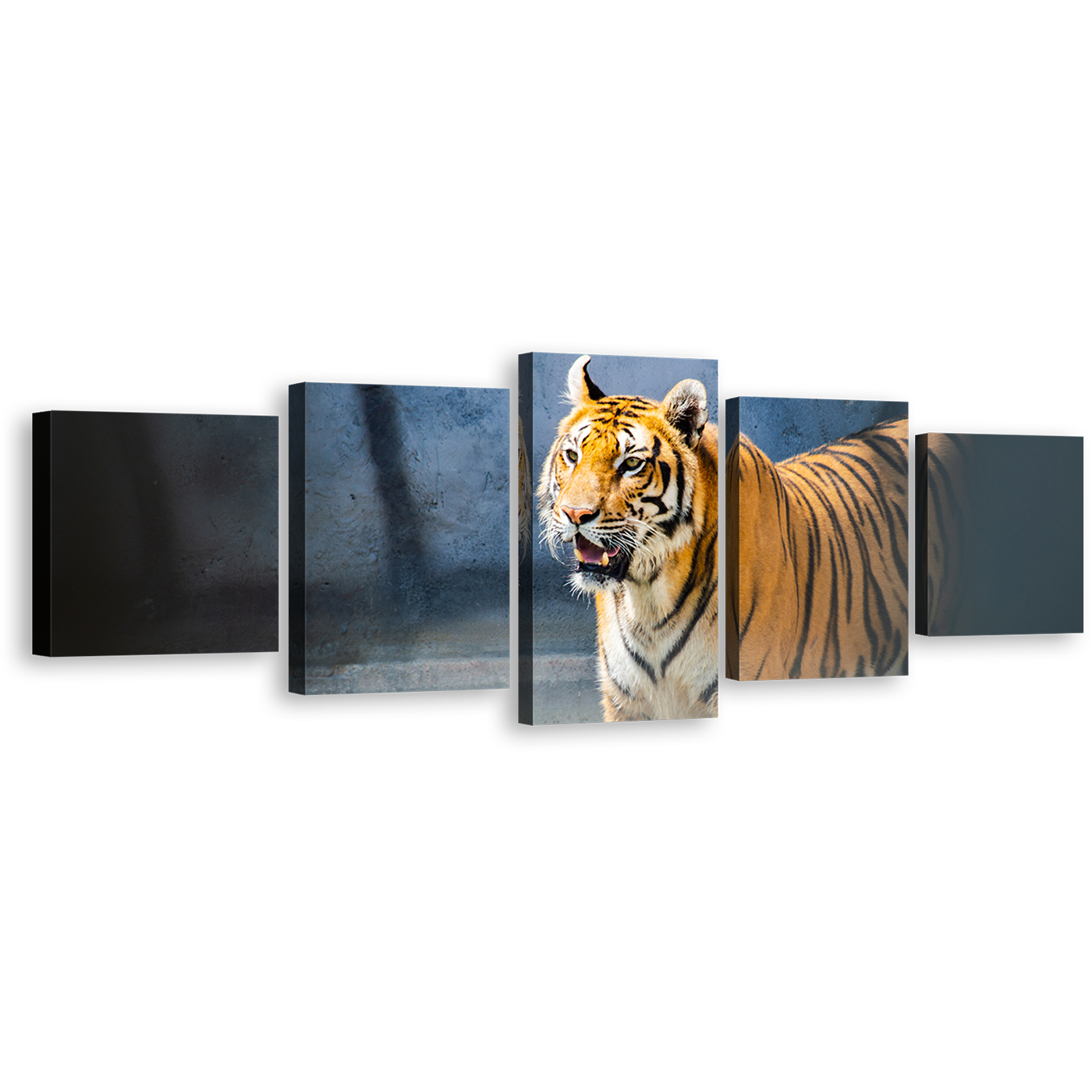 Tiger Staring Canvas Wall Art, Tiger Looking 5 Piece Canvas Print, White Yellow Big Tiger Wildlife Multiple Canvas, Wild Cat Canvas Set