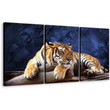 Load image into Gallery viewer, Tiger Wildlife Canvas Wall Art, Beautiful Blue Background Animal 3 Piece Canvas Print, Resting Yellow Tiger Multi Canvas
