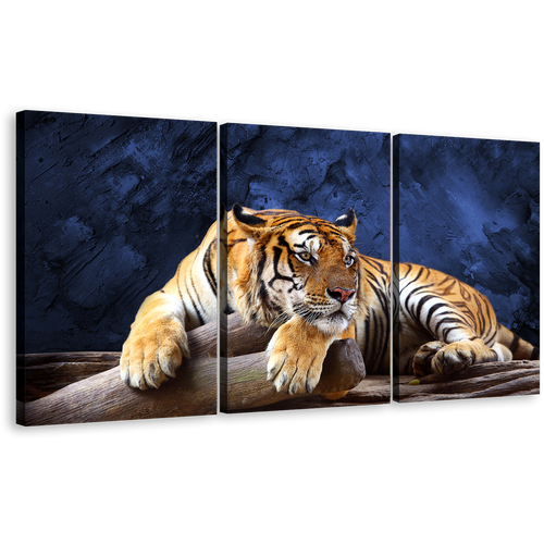 Tiger Wildlife Canvas Wall Art, Beautiful Blue Background Animal 3 Piece Canvas Print, Resting Yellow Tiger Multi Canvas