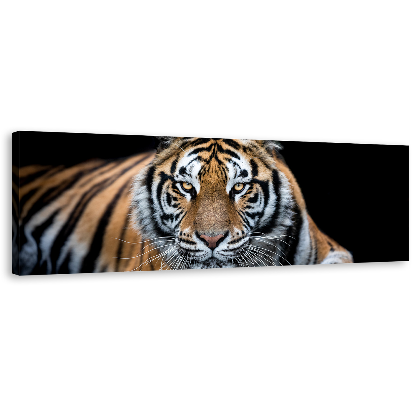 Tiger Wildlife Canvas Wall Art, Orange White Tiger Close Up Canvas Print, Tiger Portrait 1 Piece Canvas Artwork