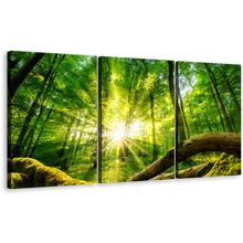 Load image into Gallery viewer, Tranquil Forest Canvas Wall Art, Green Trees Scenery 3 Piece Canvas Print, Yellow Sun Rays Casting Forest Canvas Set
