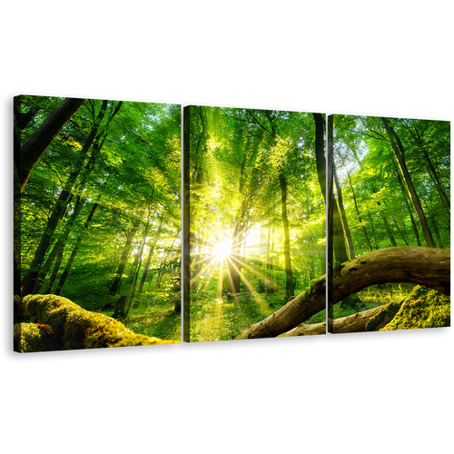 Tranquil Forest Canvas Wall Art, Green Trees Scenery 3 Piece Canvas Print, Yellow Sun Rays Casting Forest Canvas Set