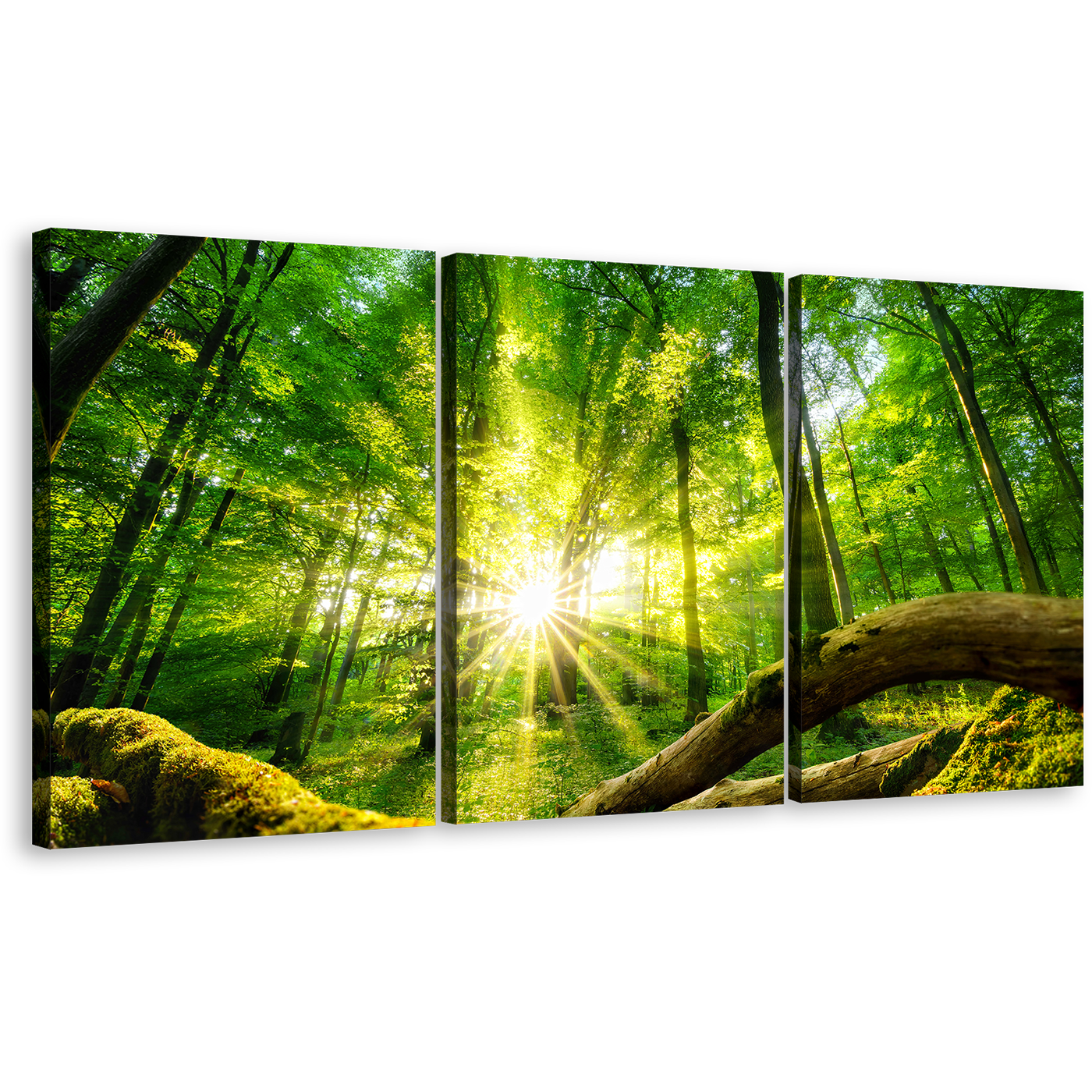 Tranquil Forest Canvas Wall Art, Green Trees Scenery 3 Piece Canvas Print, Yellow Sun Rays Casting Forest Canvas Set