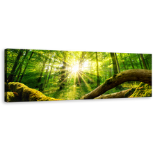 Load image into Gallery viewer, Tranquil Scenery Canvas Print, Yellow Sun Casting Forest 1 Piece Canvas Wall Art, Green Forest Trees Canvas Artwork
