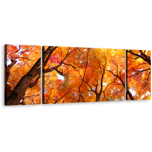 Tree Branches Canvas Print, Looking Up Yellow Orange Trees 3 Piece Wall Art, Looking Up Forest Sky Multi Canvas