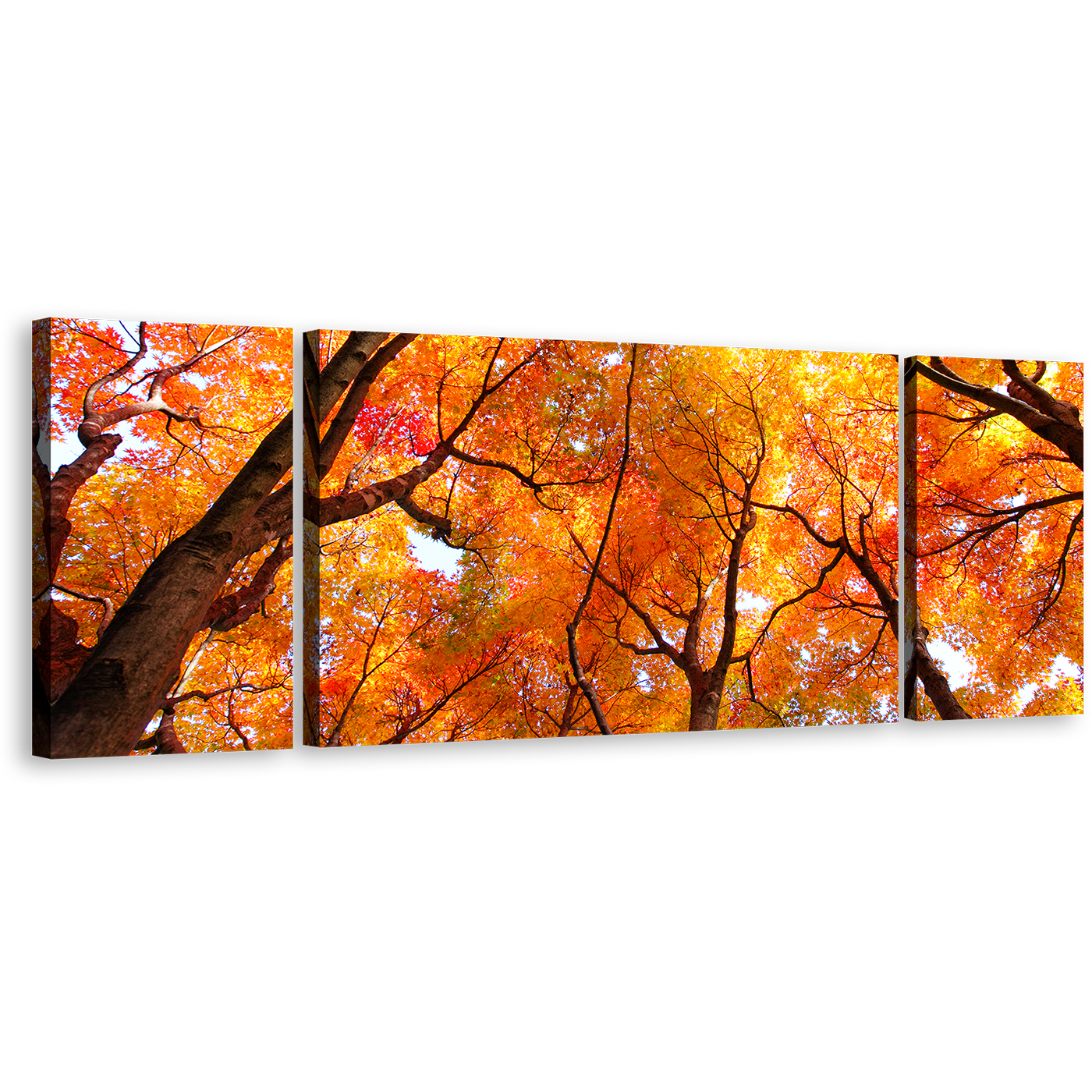 Tree Branches Canvas Print, Looking Up Yellow Orange Trees 3 Piece Wall Art, Looking Up Forest Sky Multi Canvas