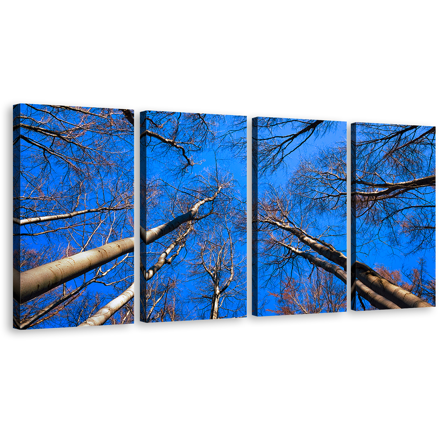 Tree Branches Wall Art, Beautiful Brown Autumn Trees Canvas Print, Looking Up Blue Sky 4 Piece Canvas