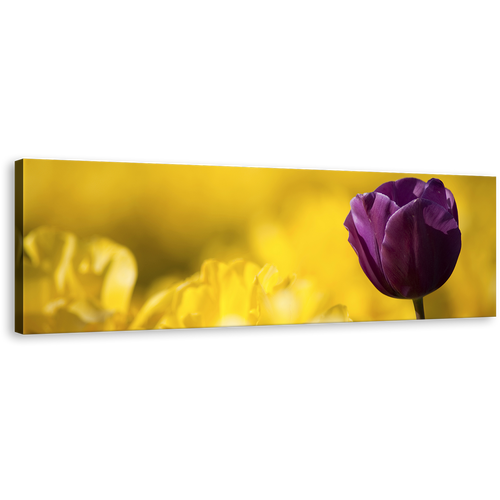 Tulip Flowers Canvas Wall Art, Yellow Fields Background Panoramic Canvas Print, Close Up Purple Tulip Flower Panorama Canvas