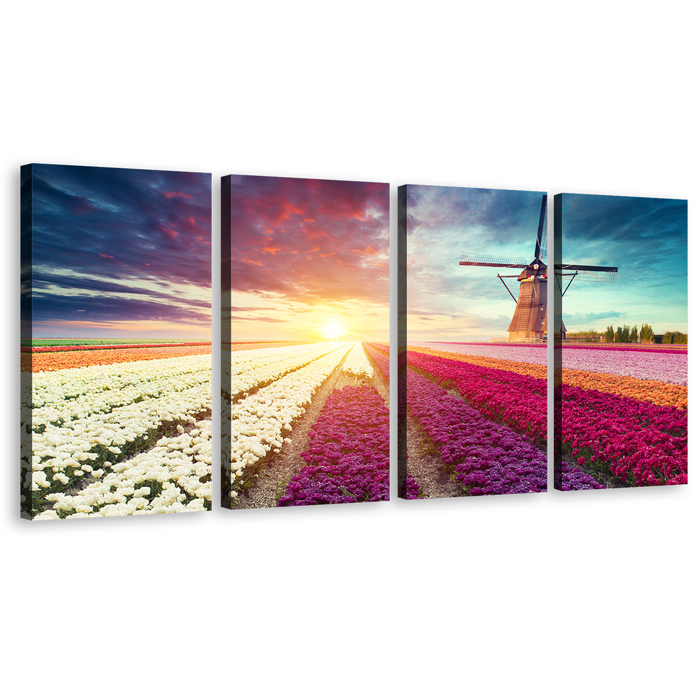 Tulips Field Canvas Wall Art, Red White Holland Landscape Multi Panel Canvas, Green Tulips Scenery 4 Piece Canvas Print