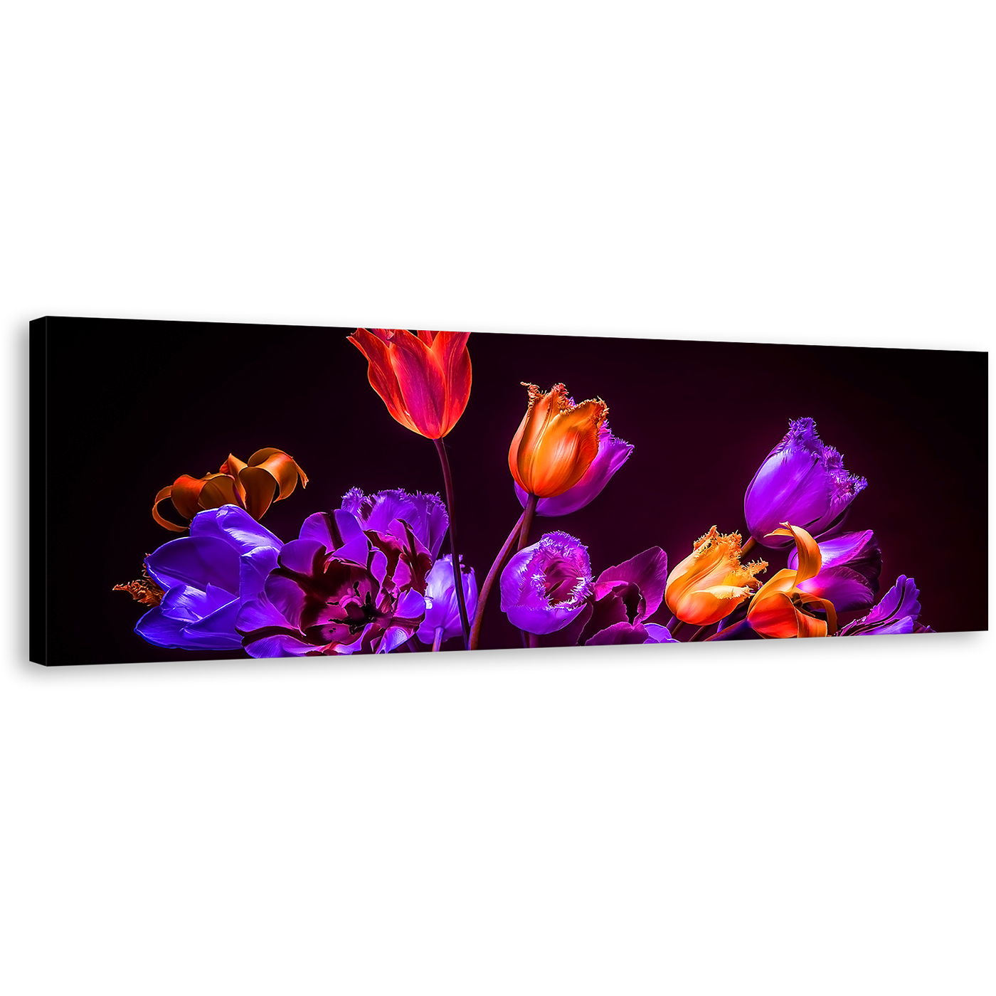 Tulips Floral Canvas Wall Art, Beautiful Purple Tulip Flowers 1 Piece Canvas, Blue Orange Tulips Dark Background Canvas Print