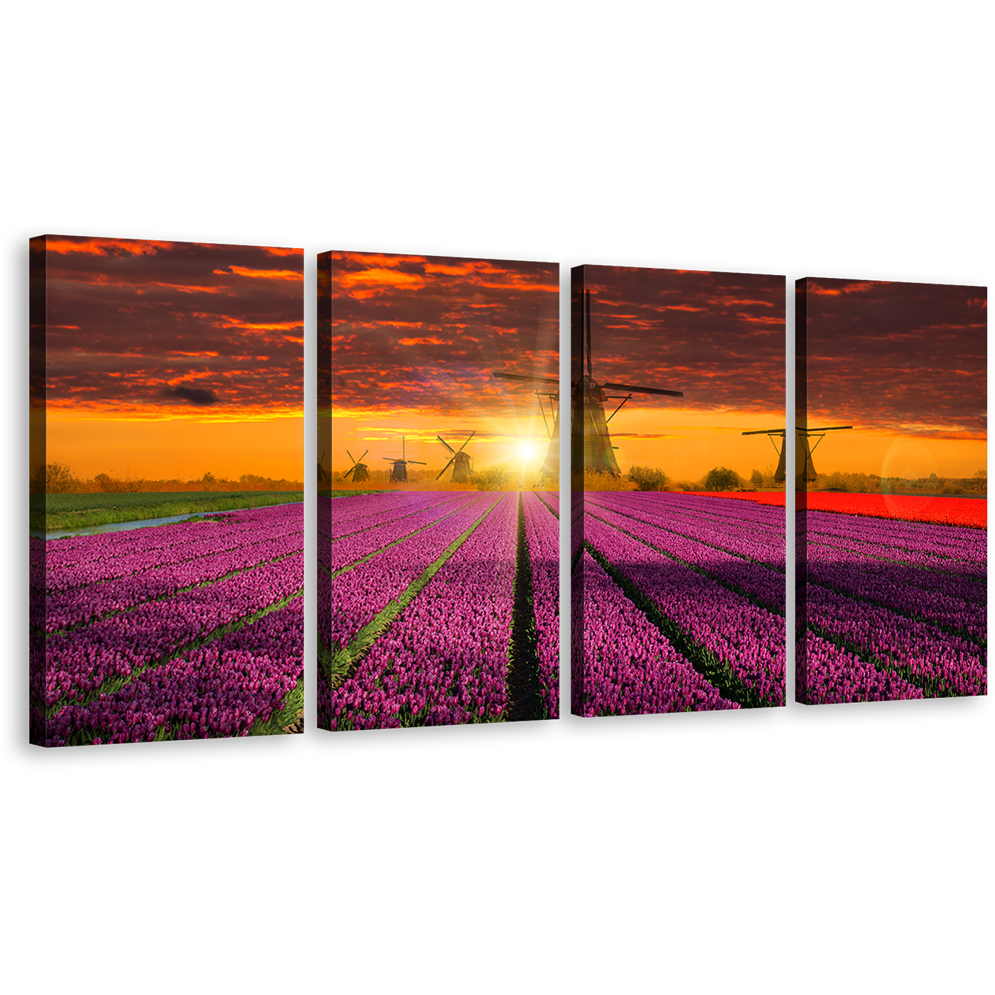 Tulips Windmill Canvas Wall Art, Holland Red Purple Tulips Fields 4 Piece Canvas Print, Beautiful Orange Sunset Windmill Multi Panel Canvas