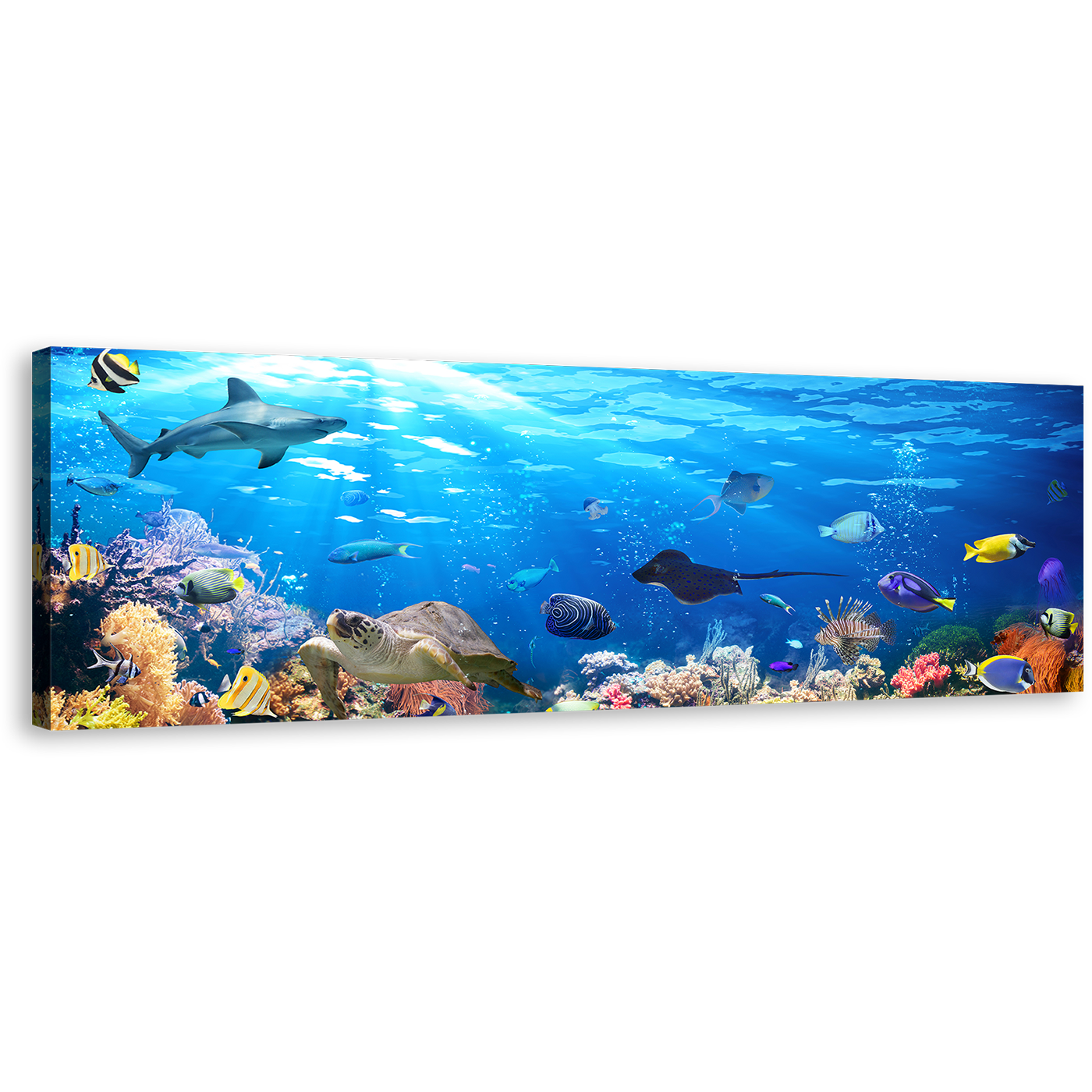 Underwater Scene Canvas Wall Art, Blue Exotic Underwater Canvas Print, Colorful Coral Reef Fish 1 Piece Canvas Artwork