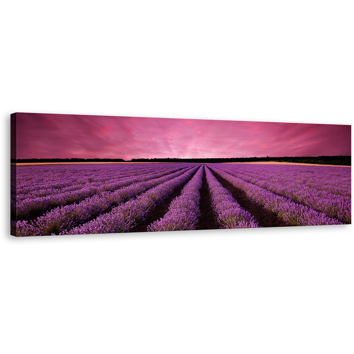 Valensole Plateau Canvas Wall Art, Purple Lavender Fields Wide Canvas, Beautiful Black Landscape Scenery Sunrise Panoramic Canvas Print