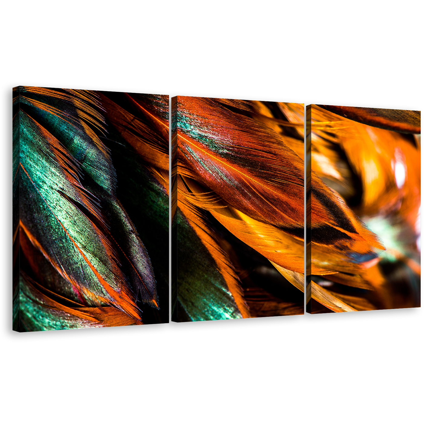 Vibrant Feathers Canvas Wall Art, Orange Green Bright Feather 3 Piece Canvas Set, Abstract Feathers Canvas Print