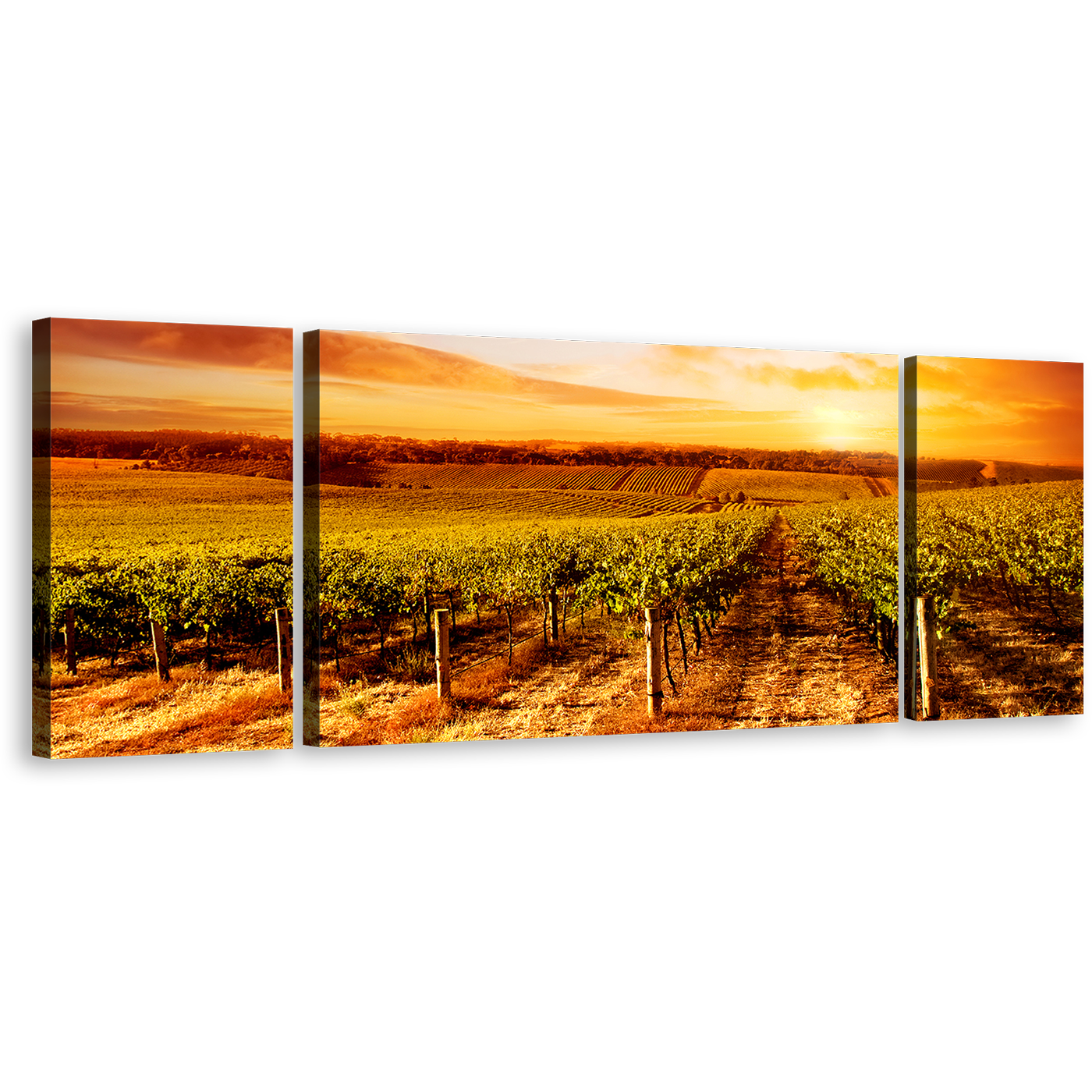 Vineyard Landscape Canvas Print, Yellow Orange Sunset 3 Piece Canvas Multi-panel Art, Green Vineyard Scenery Wall Art