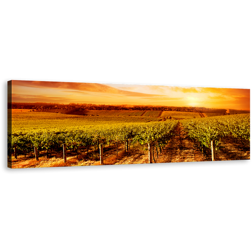 Vineyard Sunset Wall Art, Green Vineyard Scenery Panoramic Canvas Art, Yellow Orange Sky Landscape Canvas Print