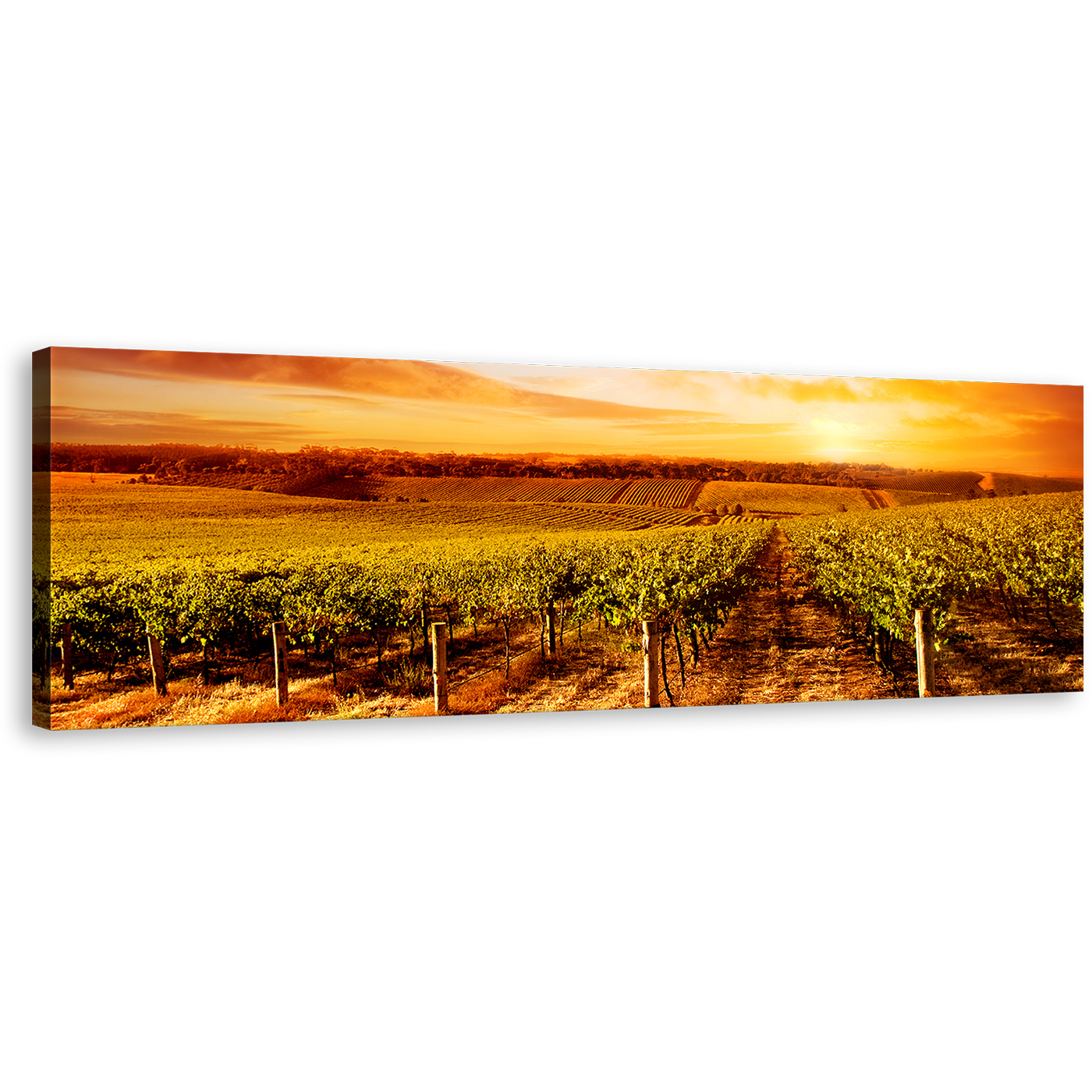 Vineyard Sunset Wall Art, Green Vineyard Scenery Panoramic Canvas Art, Yellow Orange Sky Landscape Canvas Print