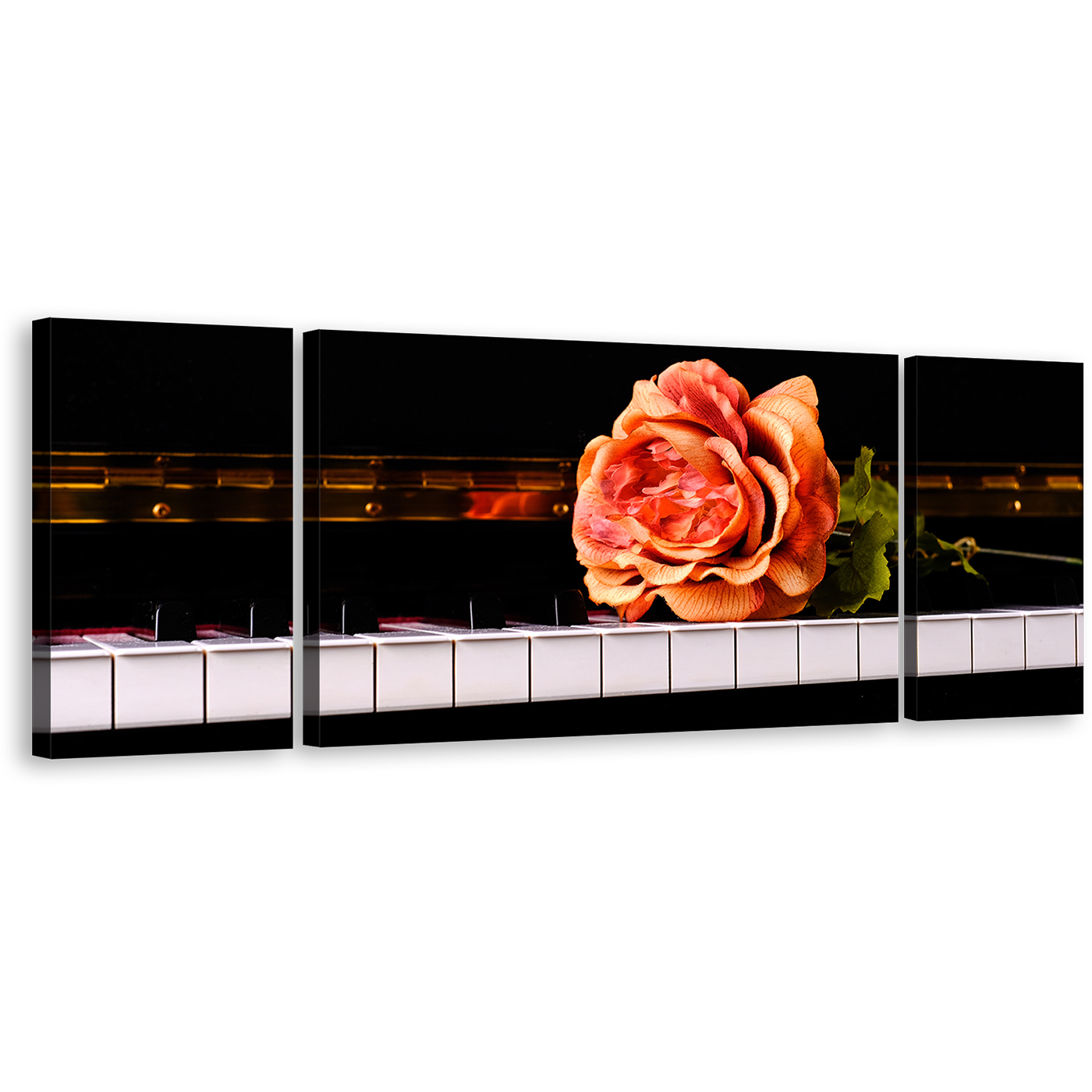 Vintage Rose Canvas Wall Art, Isolated Pink Rose 3 Piece Canvas Print, White Black Piano Keyboard Triptych Canvas Set