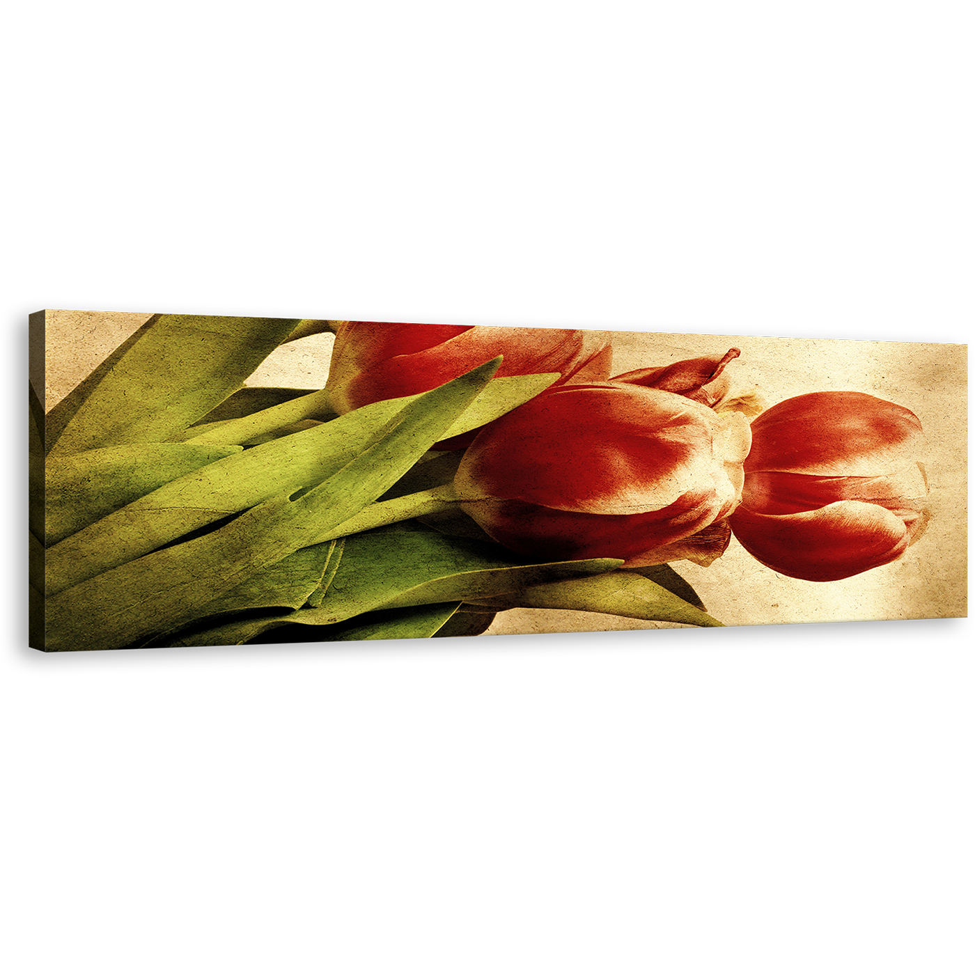 Vintage Tulip Panorama Canvas Print, Red Flowers Panoramic Wall Art, Green Leaves Floral Canvas Artwork