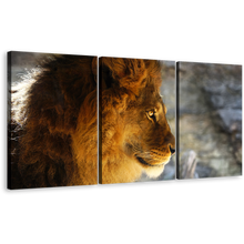 Load image into Gallery viewer, Wild Cat Canvas Wall Art, Yellow Orange Lion Profile 3 Piece Canvas Print, Lion Head Canvas Set
