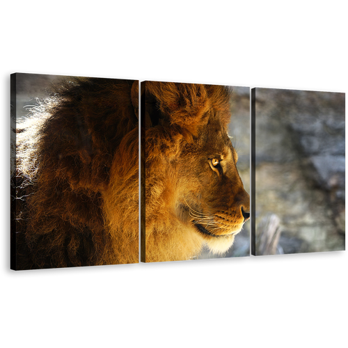 Wild Cat Canvas Wall Art, Yellow Orange Lion Profile 3 Piece Canvas Print, Lion Head Canvas Set