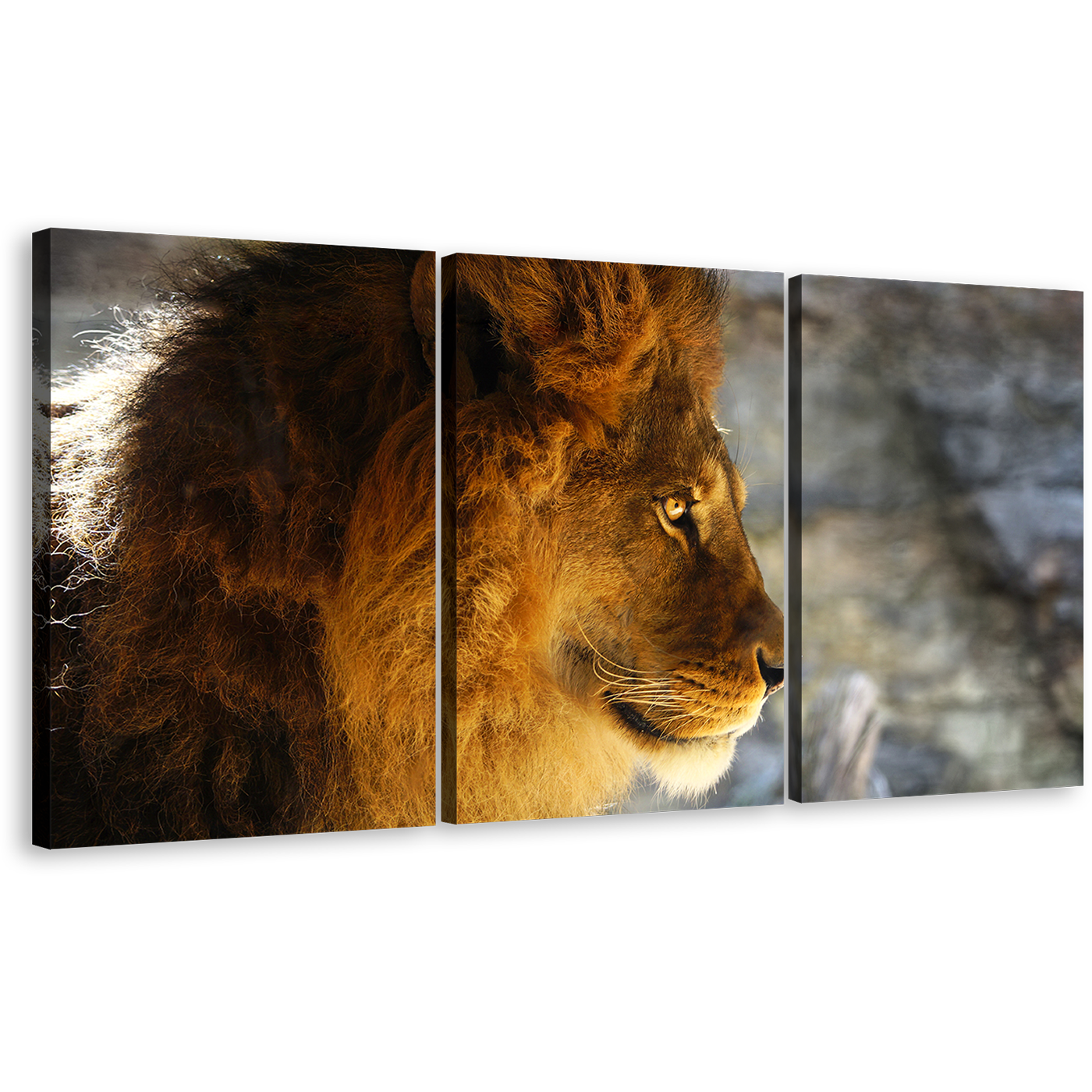 Wild Cat Canvas Wall Art, Yellow Orange Lion Profile 3 Piece Canvas Print, Lion Head Canvas Set