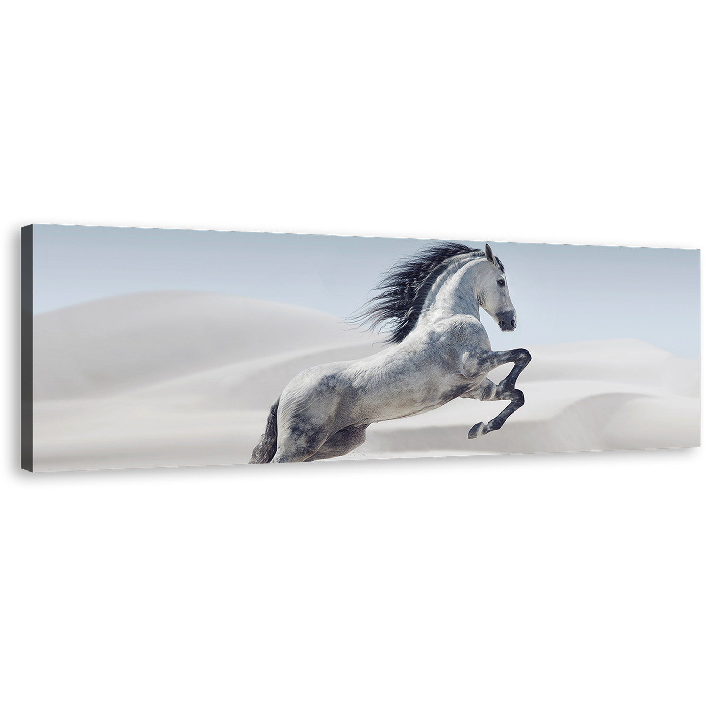 Wild Horse Canvas Wall Art, White Horse in White Dust Panoramic Canvas Print, Grey Horse in Air Canvas Artwork