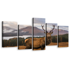 Load image into Gallery viewer, Wild Stag Canvas Print, Brown Stag Portrait Multiple Canvas, Deer in Green Nature 5 Piece Canvas Wall Art
