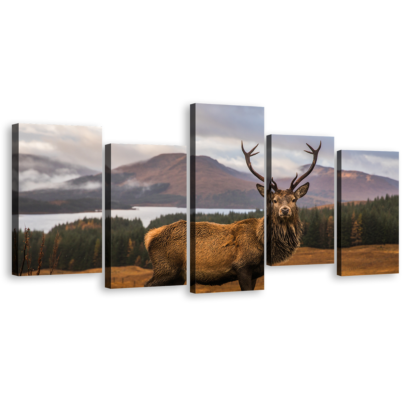 Wild Stag Canvas Print, Brown Stag Portrait Multiple Canvas, Deer in Green Nature 5 Piece Canvas Wall Art