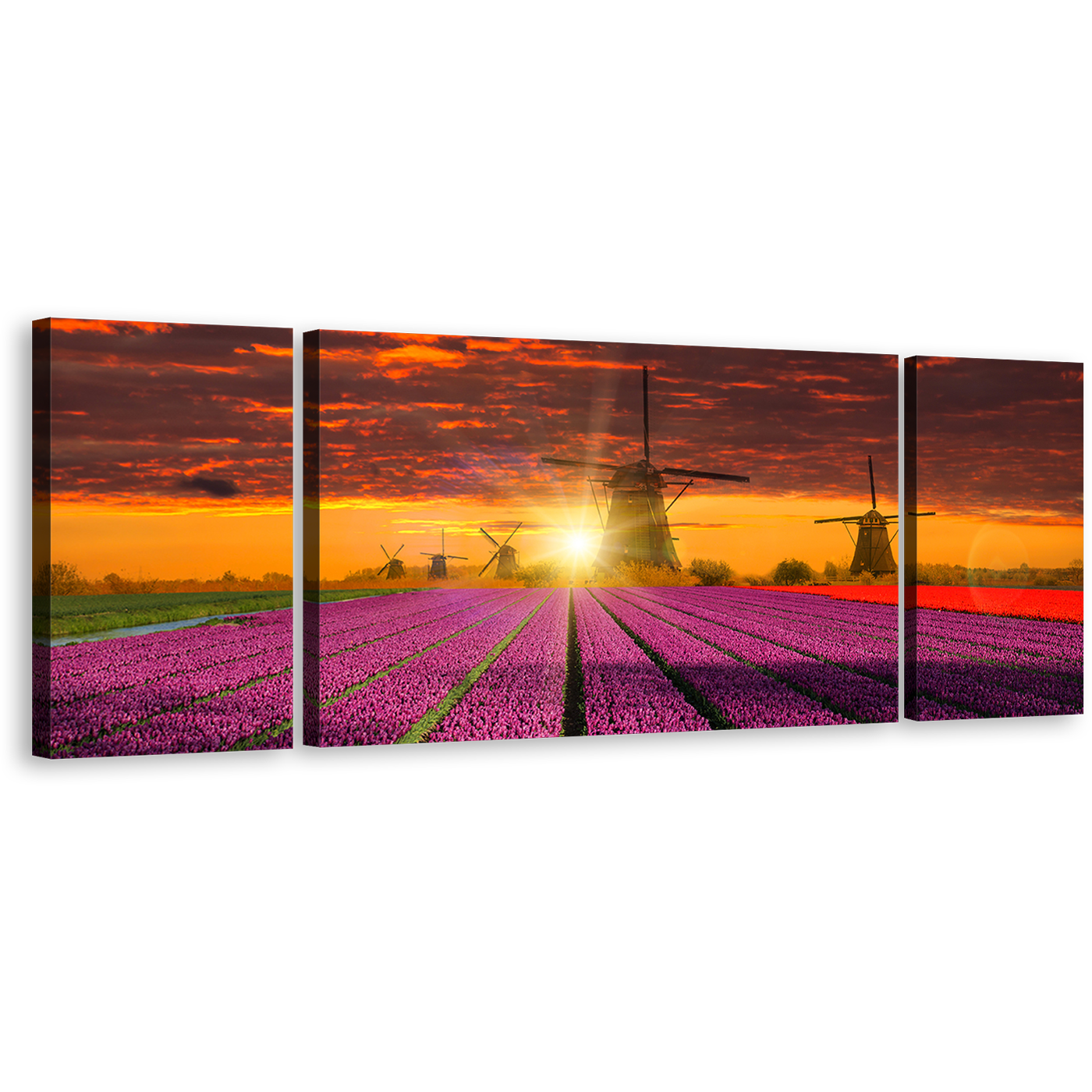 Windmill Scenery Canvas Print, Cloudy Orange Sky Windmill Triptych Multiple Canvas, Green Holland Landscape 3 Piece Canvas Wall Art, Purple Red Tulip Fields Canvas Set