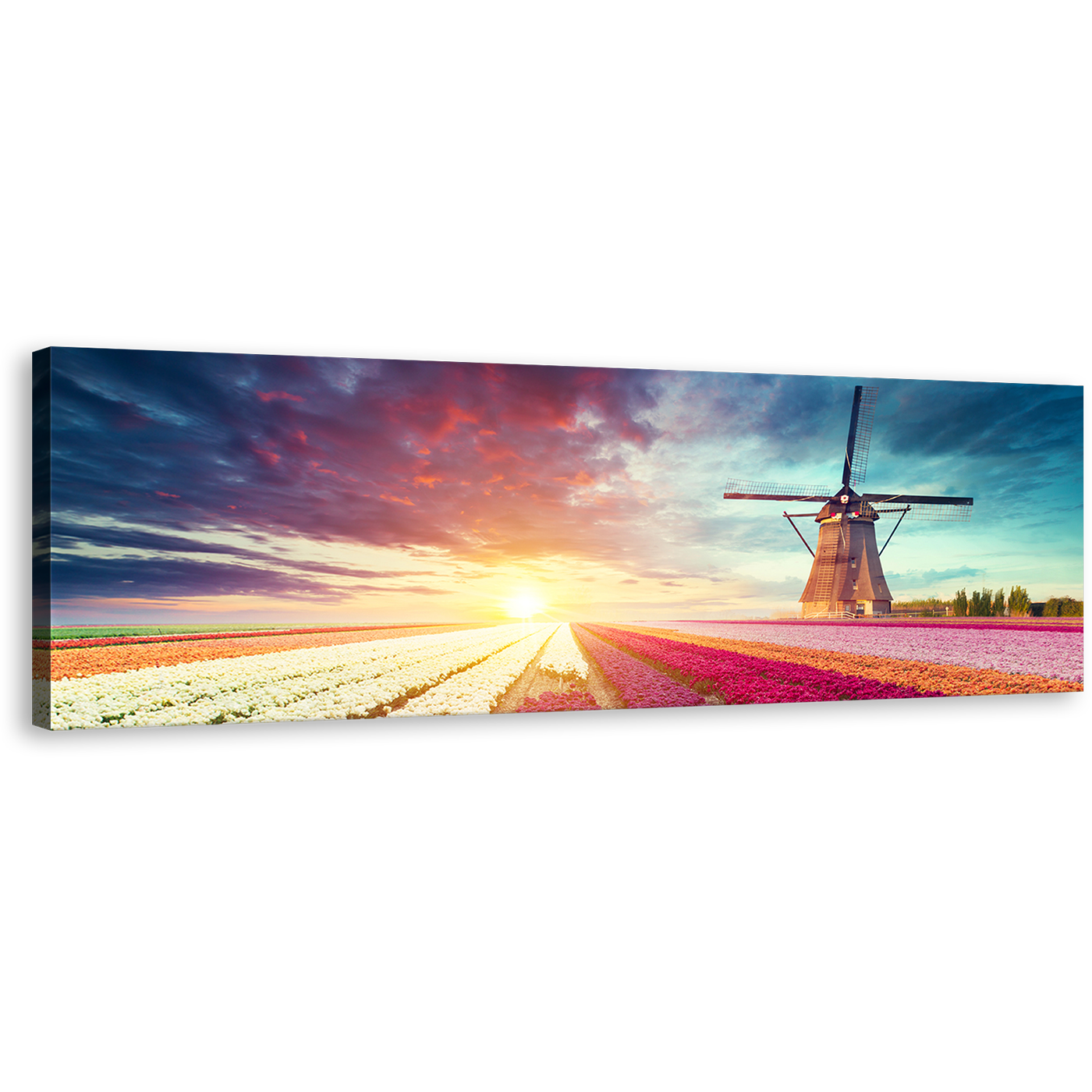 Windmill Scenery Canvas Wall Art, Green Windmill Tulips Sun Field Panoramic Canvas Artwork, White Red Holland Landscape 1 Piece Canvas Print