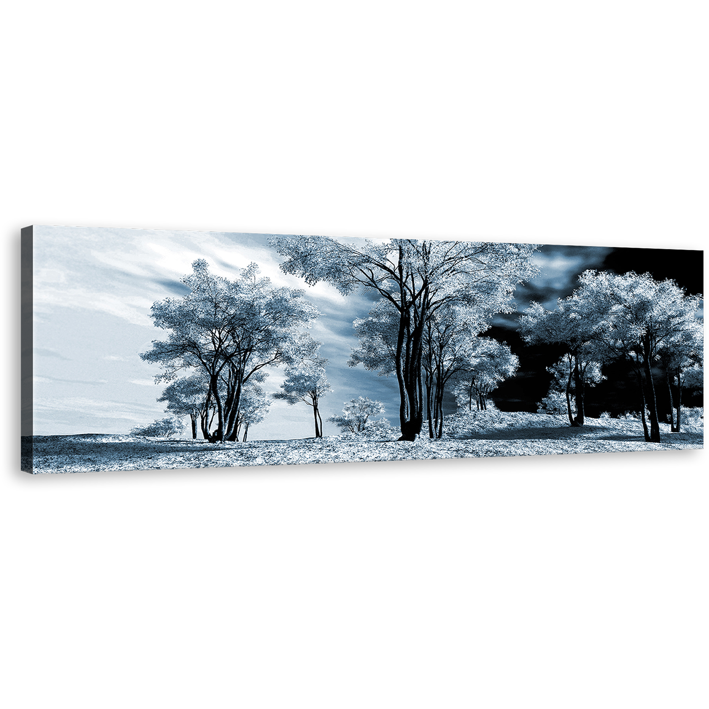 Winter Forest Canvas Wall Art, Contemporary Black Scenery Panoramic Canvas Print, White Trees Scenery 1 Piece Canvas Artwork