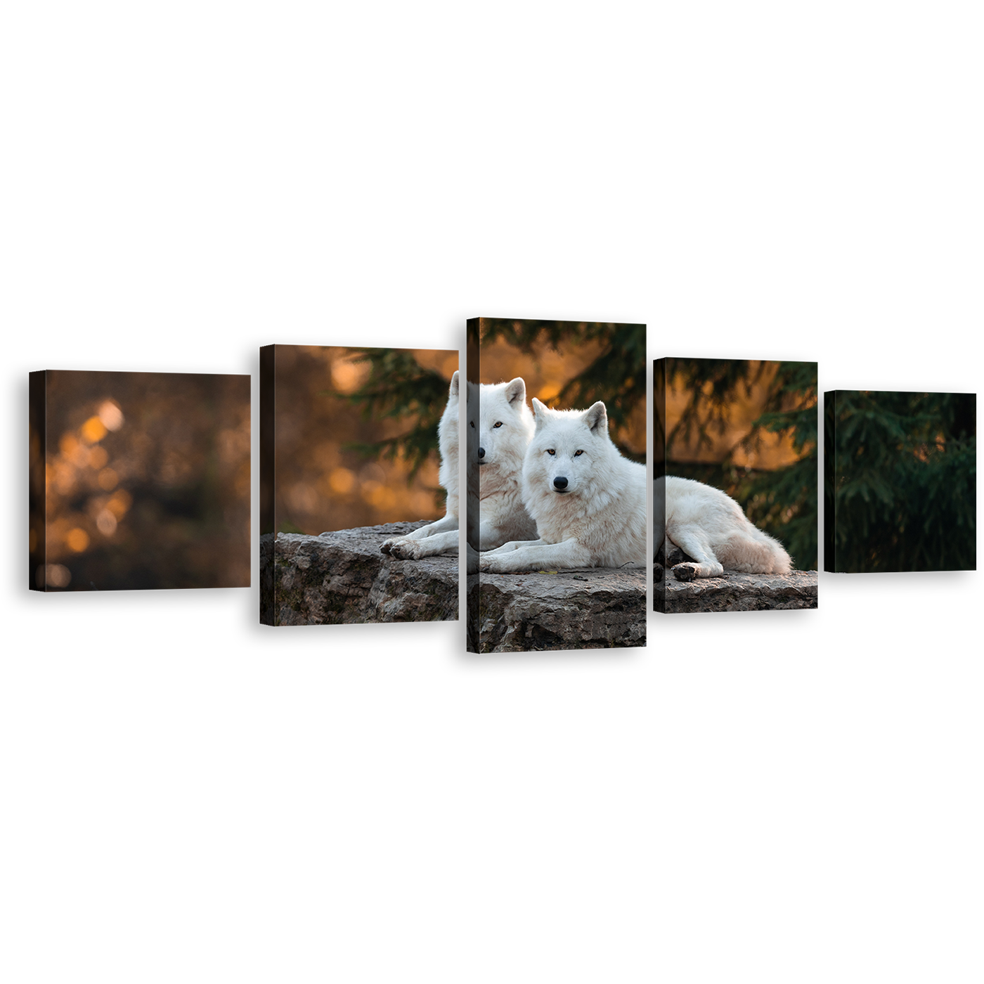 Wolf Scenery Canvas Wall Art, Orange Nature Wolves Wildlife Multiple Canvas, White Wolves Landscape 5 Piece Canvas Print