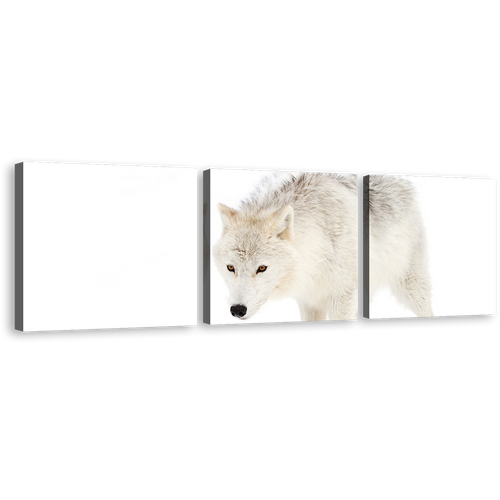 Wolf Snow Canvas Wall Art, Wolf Front Canvas Set, Isolated White Wolf 3 Piece Canvas Print